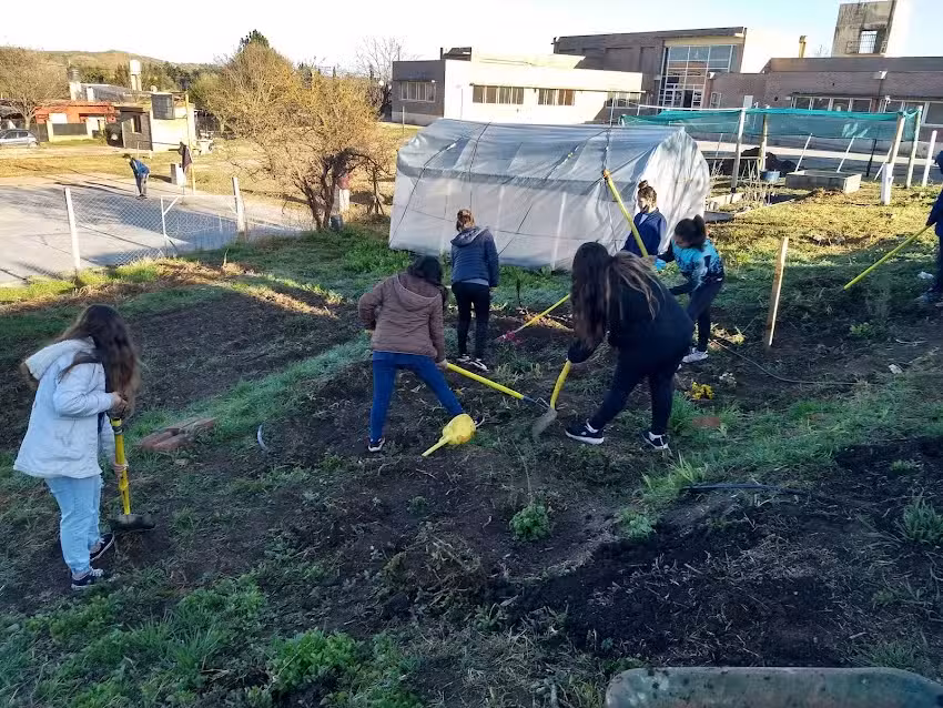 Ipea Y T 347 Dr Alejandro Degenaro