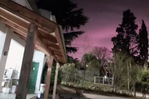 Ipem 168 Diego De Rojas