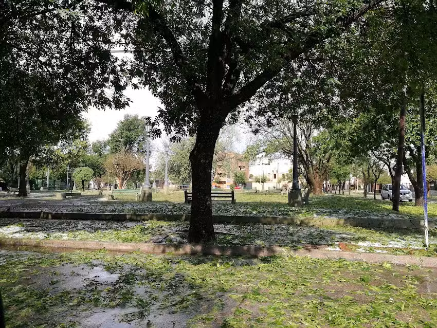 Ipem N 128 Dr Manuel Belgrano