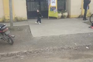 Jardin 100 Socrates V Bacchiddu