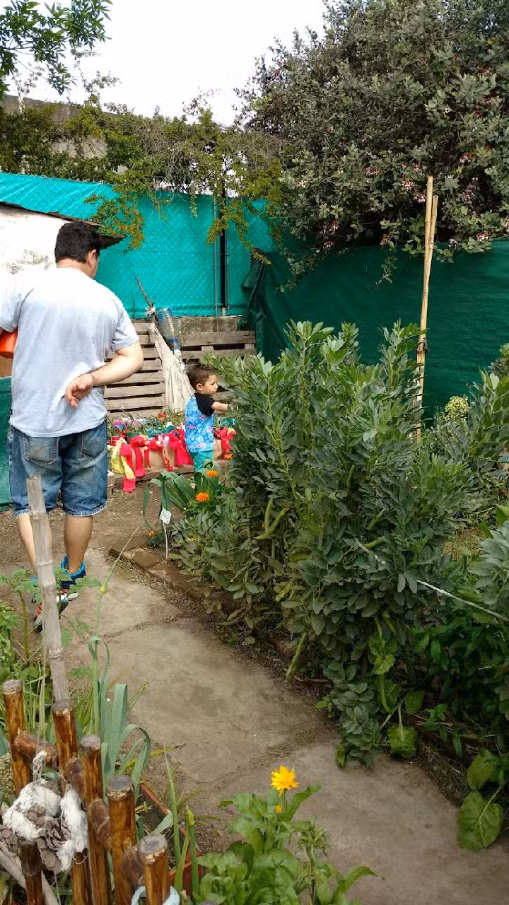 Jardin Cordones Sueltos