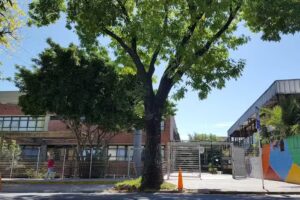 Jardín de Infantes Común N 0510 Pablo Picasso