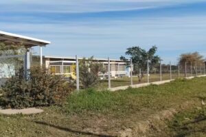 Jardín de Infantes N 238