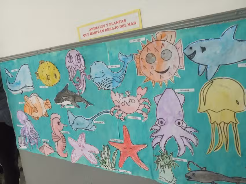 Jardin De Infantes N 912