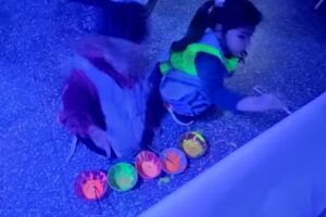 Jardin de infantes n 922