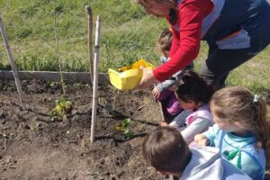 Jardín de Infantes N909 Camet Norte