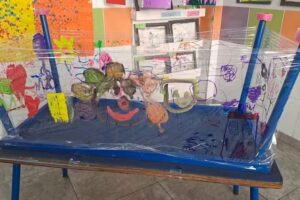 Jardín De Infantes Nº904 Doctora Cecilia Grierson