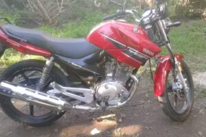 Jardín De Infantes Nº904 Juana Manso