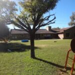 Jardín De Infantes Nº905