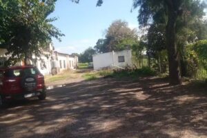 Jardin Independiente N33