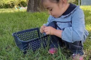 Jardín infantes N2 Jirimm