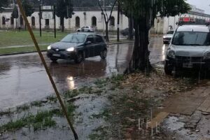 Jardín Maternal Municipal N4 Paloma de la Paz