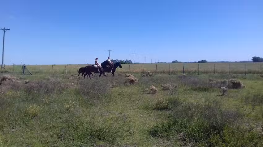 Jardín Municipal Jardilandia