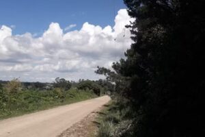 Jardín Municipal Nº27 Enrique De Anchorena