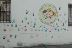 Jardin No 916 Dra Cecilia Grierson