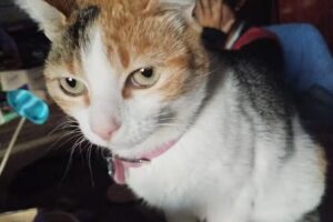 Jardin San Patricio del Chañar