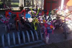 Ji N907Ignacia Rípodas