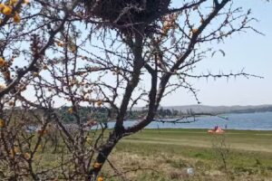 Kitesurf Cordoba Los espinillos