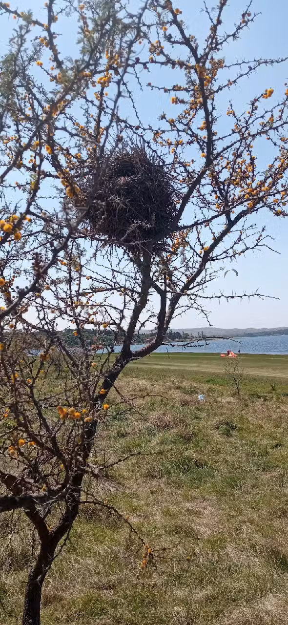 Kitesurf Cordoba Los espinillos