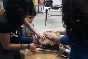 Liceo N 05 Pascual Guaglianone