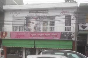 Liceo Profesional Logos