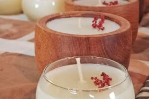 Monte Colibrí Comunidad Educativa