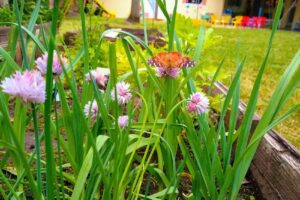 Nea Nueva Escuela Argentina Sede Centro