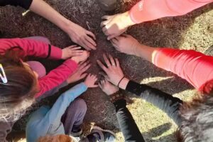 Pilares del Sol Primaria y Jardín de Infantes Escuela Viva Educación Holística