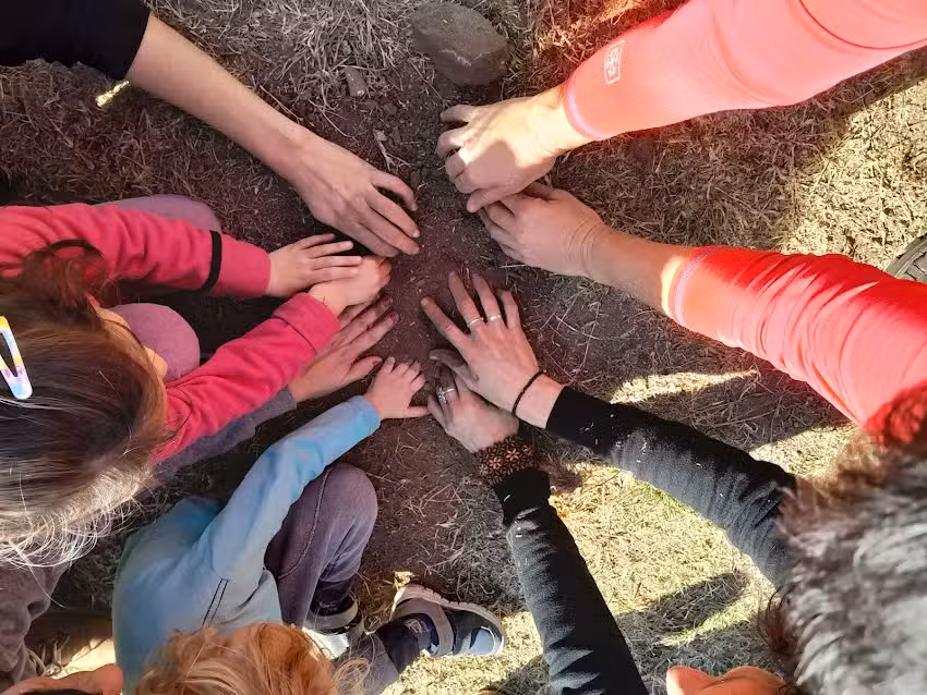 Pilares del Sol Primaria y Jardín de Infantes Escuela Viva Educación Holística