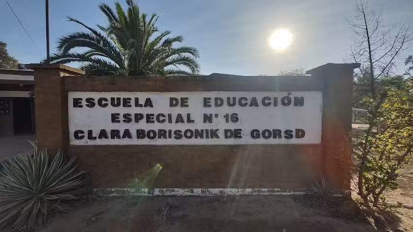 Primespecial Nº 16Clara Borisonik de Gorsd