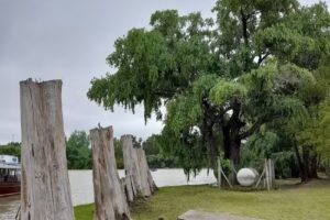 Primaria N14 y Secundaria N25