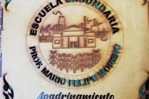 Prof Mario Felipe Moreno