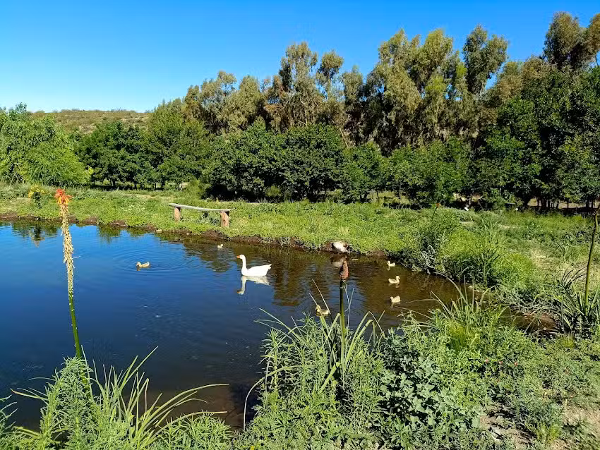 Punta Del Agua San Rafael Mendoza