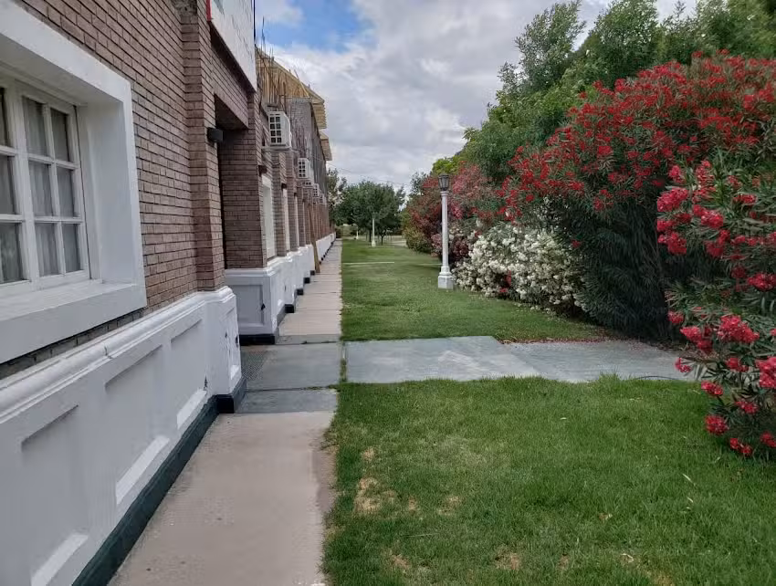 Saint Paul Colegio Bilingüe Montessori