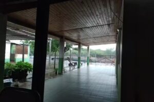 Salta Forestal Sector Iv