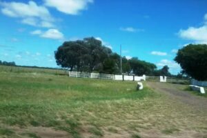 Santa Maria Club Mdes Ctes