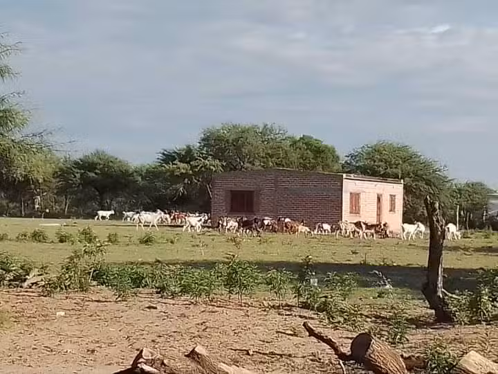 Santiago del Estero