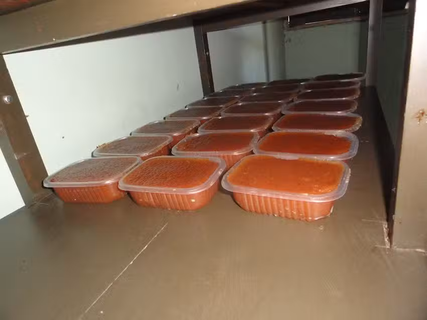 Sector Agro industria Escuela Agrotécnica