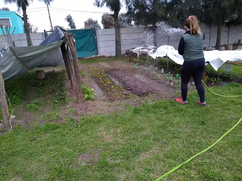 Secundaria 5 Andres Carrasco