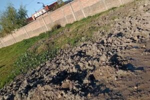 Secundaria Nro 32 Orientación Artes Visuales