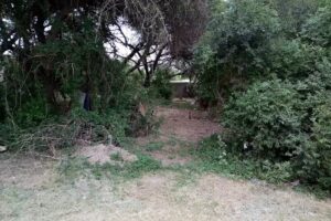 Secundaria Nro 70 El Bañado