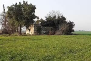 Segunda Escuela Barbato