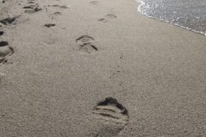 Terapia Visual Susana