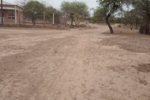 Tres Palmas Epep Nº 473 Eibjin 35 Nep 20