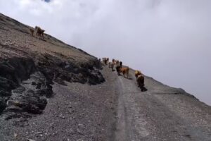 Varas Escuela nro 115